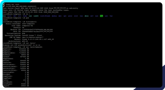 VPS management
