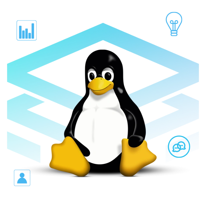 Linux vps hosting